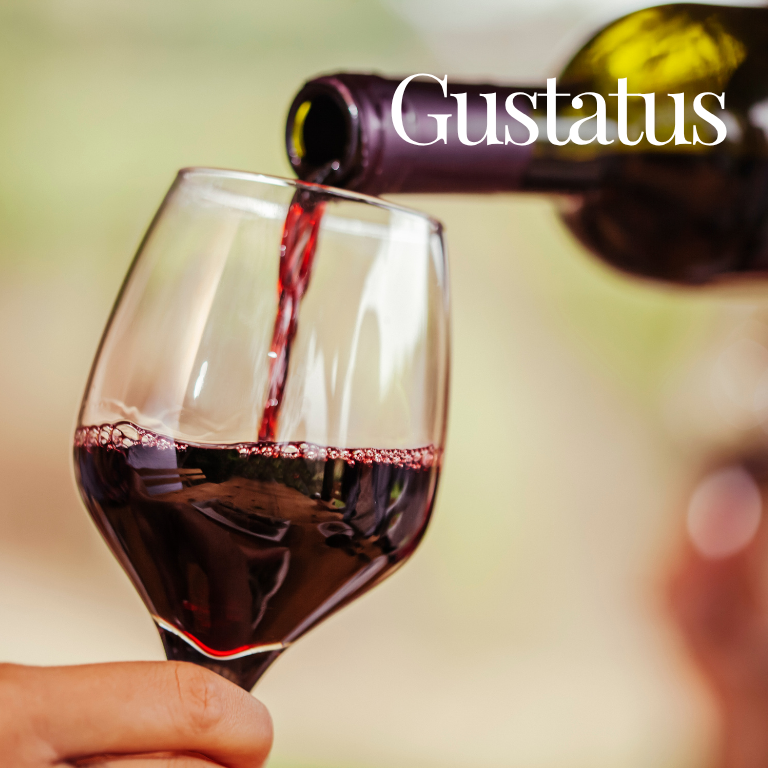 Gustatus: Il senso del gusto