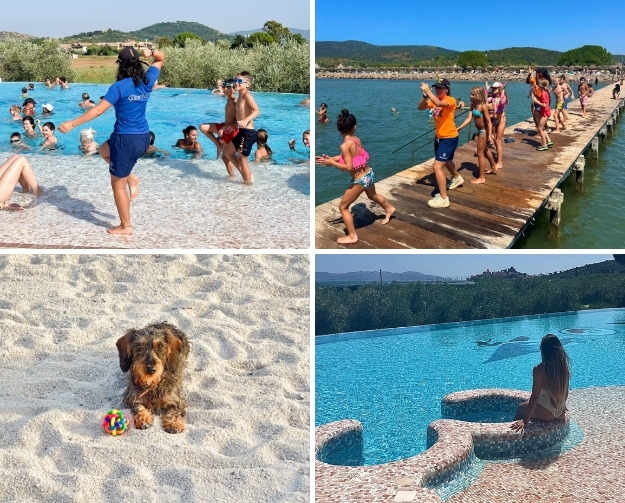 Vier-Bilder-Collage: Oben links eine Person in einem blauen T‑Shirt im Schwimmbad, umgeben von vielen Schwimmern. Oben rechts ein Holzsteg am Ufer, auf dem Menschen ins Wasser gehen. Unten links ein kleiner brauner Hund sitzt im Sand neben einem bunten Ball. Unten rechts sitzt eine Person am Rand eines Pools und blickt aufs Wasser; im Hintergrund ist eine weite Wasserlandschaft zu sehen.
